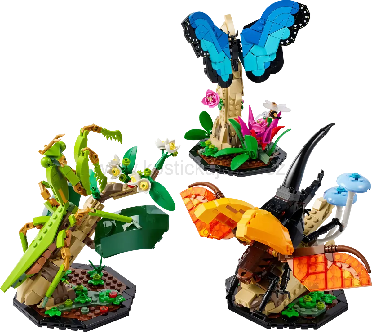 LEGO Ideas 21342 Sbírka hmyzu